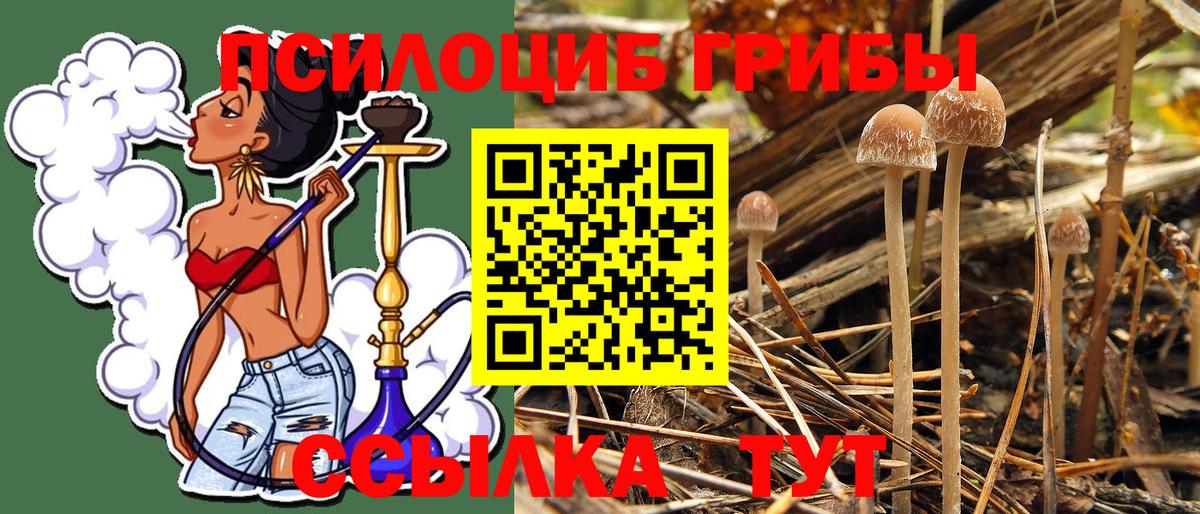 Галлюциногенные грибы Magic Shrooms Лабинск